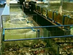 -Isla Sugbu Seafood City