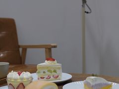 -猫里有甜