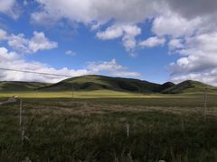 -塞罕坝国家级自然保护区