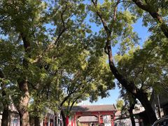 -北京鲁迅博物馆(北京新文化运动纪念馆鲁博馆区)