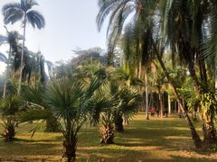 -中国科学院西双版纳热带植物园