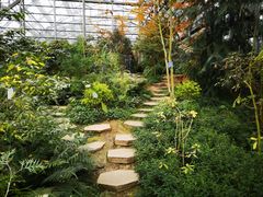 -南山植物园