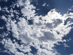-诗经里
