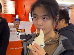 -野人先生现做冰淇淋(北京王府井东方新天地店)