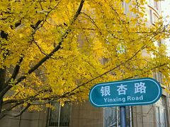 -辽宁大学(崇山校区)