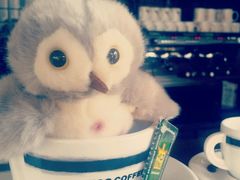 cup&nbsp;owl-ZOO COFFEE 动物园咖啡(亦庄店)