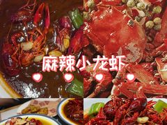 -杨氏青龙虾·羊蝎子(托乐嘉店)