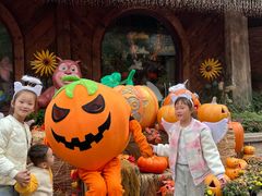 -郑州方特梦幻王国