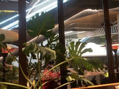 -SHAN山(前滩太古里店)