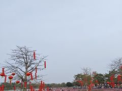 -海珠湖公园