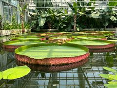 -国家植物园南园