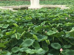 -谷咖啡·鲜花绿植花园餐厅