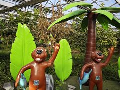 -南宫五洲植物乐园