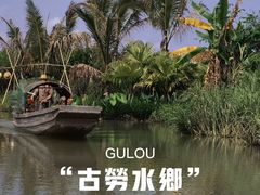 -江门古劳水乡旅游区