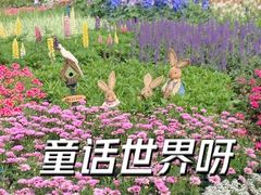 -海淀公园