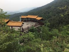 -铁山坪森林公园