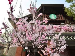 -星巴克臻选(思南公馆店)
