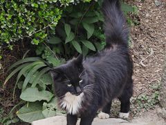 -庐山风景区花径公园