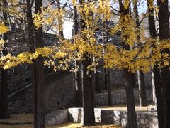 -阳台山自然风景区