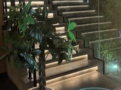 -新紫霞养生·影院足道·SPA(金山区店)