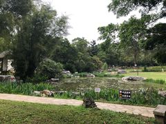 -雀儿山公园