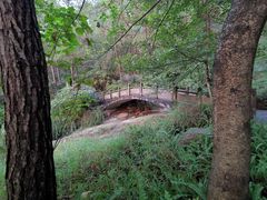 -铁山坪森林公园