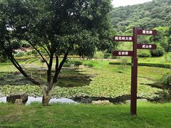 -桃花岭景区
