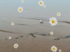 -东戴河风景区-止锚湾