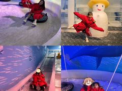 -顺德南宏海立方海洋公园