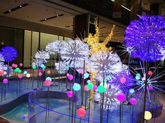 店内环境-远洋未来广场(育慧北路店)