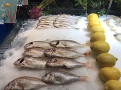 -盛宴标帜西餐厅龙虾.鲍鱼•牛排(重庆喜来登大酒店)