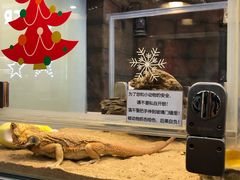 -MR.ZOO小小动物元室内动物园(沈阳沈河盛京中心)
