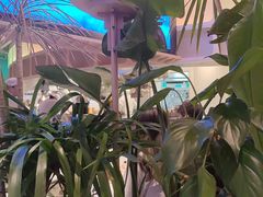 -桂满陇·蟹黄小笼汤包(清河万象店)