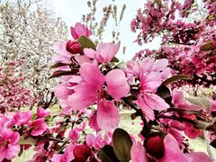 -元大都城垣遗址公园