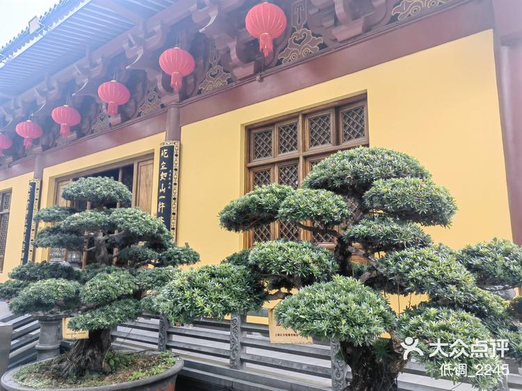 低调_2245 3月15日 15:55 关注 宝华寺 「宝华寺」～位于静安区高平路