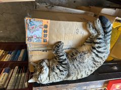 -正阳书局(西四南大街店)
