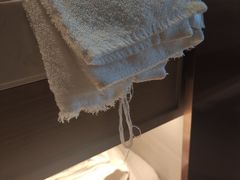 -麗枫酒店(北京西站北广场店)