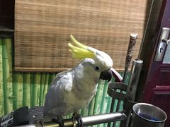 -四海楼(如皋定慧禅寺店)