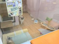 -联合动物医院(光谷诊疗中心)