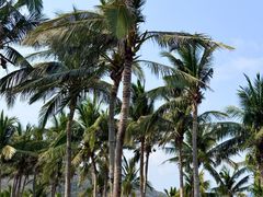 -三亚太阳湾柏悦酒店