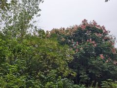 -盘龙城国家考古遗址公园