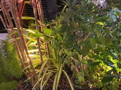 -木屋烧烤(坂田天安云谷店)