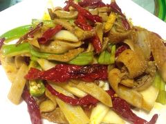柴窝堡辣子鸡-柴窝堡辣子鸡(文艺路店)