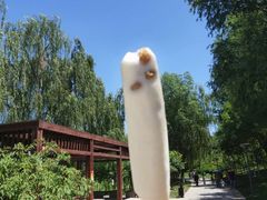 -河北省园博园