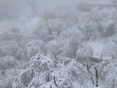 -瓦屋山景区