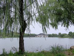 -长广溪湿地公园