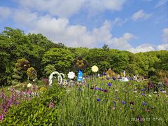 -上海共青森林公园