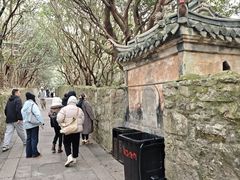 -普陀山风景区-佛顶山