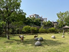 -泉州海丝野生动物世界