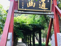 -晋祠公园